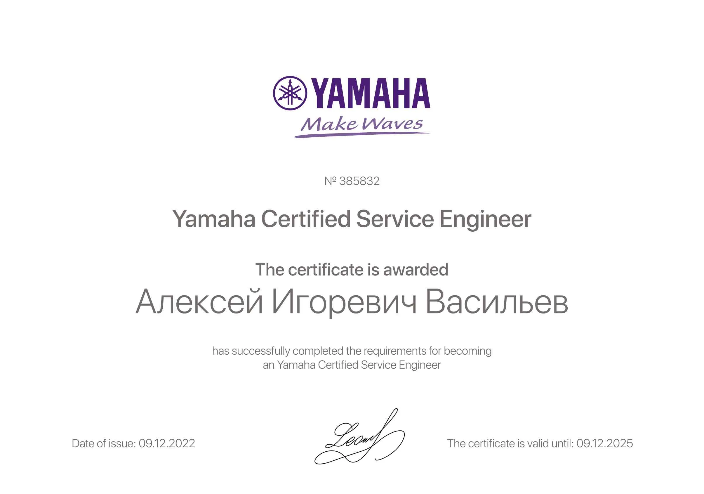 Сертификат - Алексей Игоревич Васильев